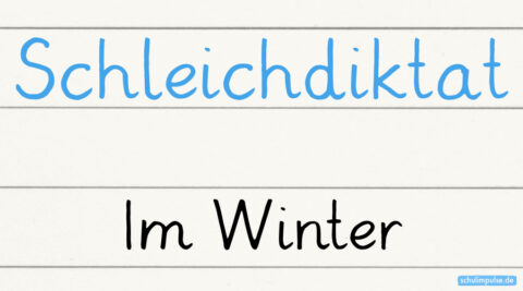 Schleichdiktat: Im Winter